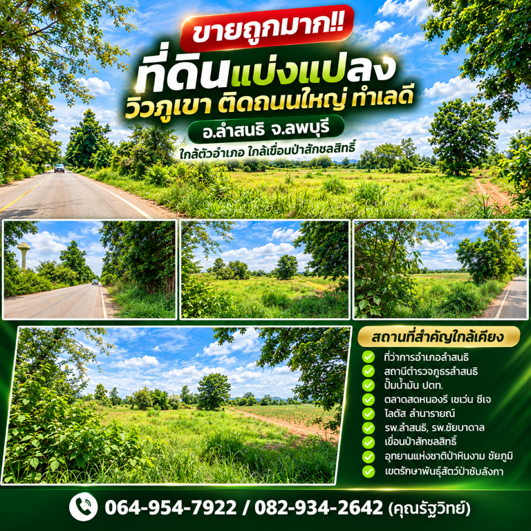 ขายถูกมาก!! ที่ดินแบ่งแปลงวิวภูเขา ติดถนนใหญ่ ทำเลดี อ.ลำสนธิ จ.ลพบุรี ใกล้ตัวอำเภอ ใกล้เขื่อนป่าสักชลสิทธิ์ รูปที่ 3