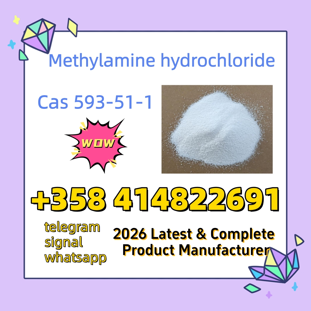 Buy High Quality CAS 593-51-1 Methylamine Hydrochloride at Best Price     รูปที่ 4