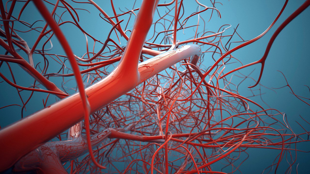 รูปภาพ Death from heart disease
