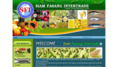 Siam Fasang Intertrade Sea Food you will find the highest quality Thai agricultural