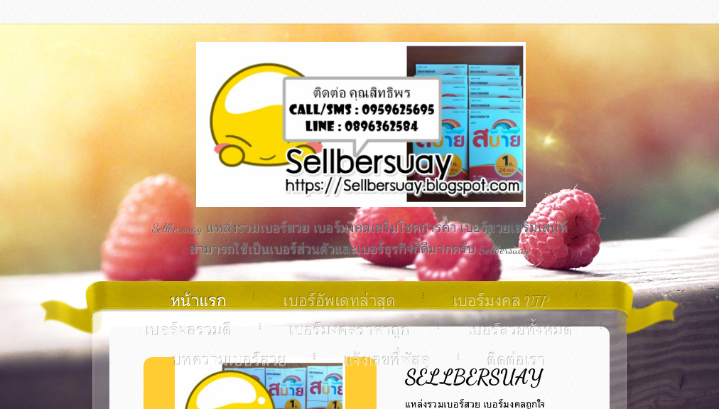 Sellbersuay (ร้านเบอร์สวยรุ่งเรืองซิม) ขายเบอร์สวย เบอร์มงคลเสริมโชคการค้า เบอร์สวยเสริมเสน่ห์- หน้าแรก รูปที่ 1