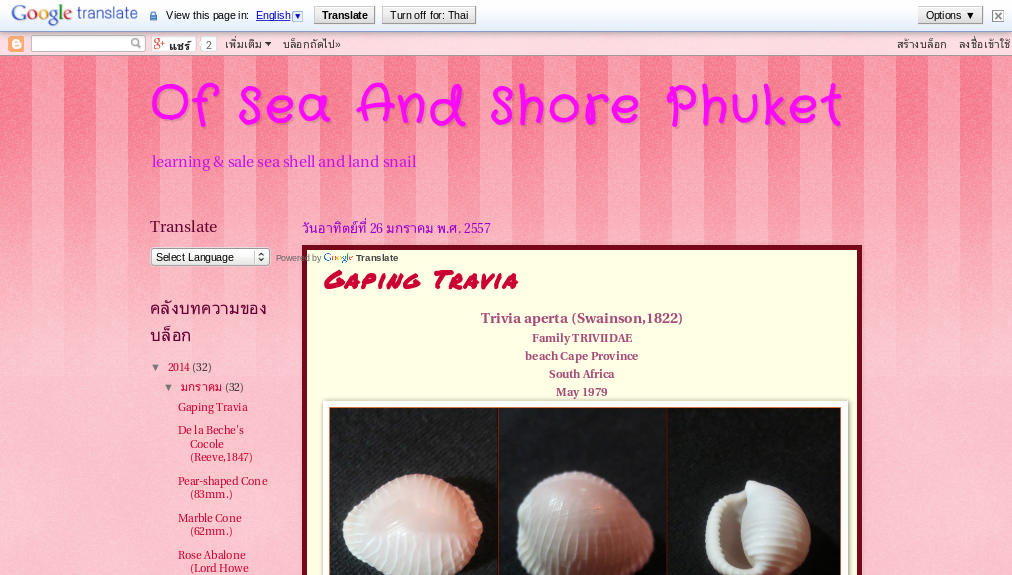 Of Sea And Shore Phuket, sea shell and land snail รูปที่ 1