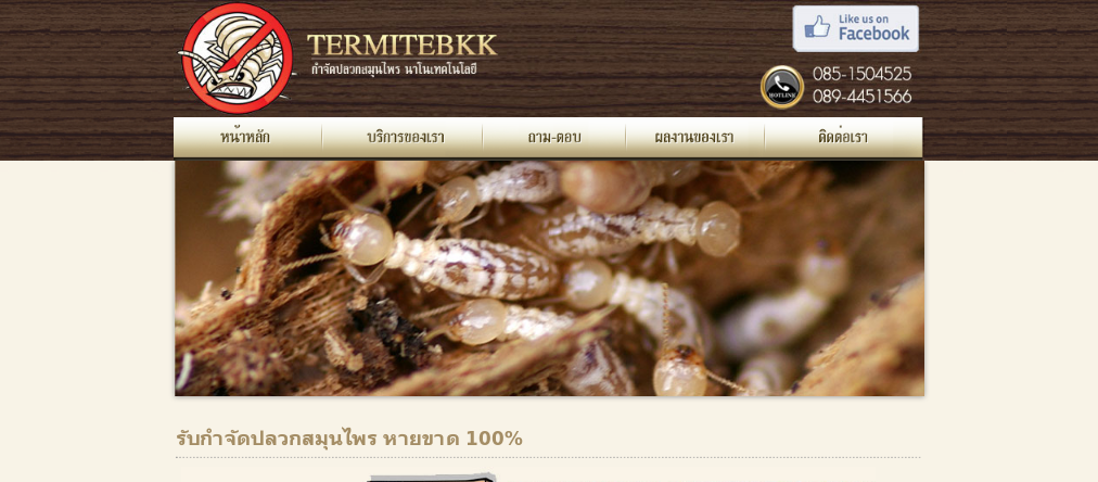 termitebkk : รับกำจัดปลวก กำจัดหนู วางท่อกำจัดปลวกด้วยน้ำยาสมุนไพรนาโน รูปที่ 1