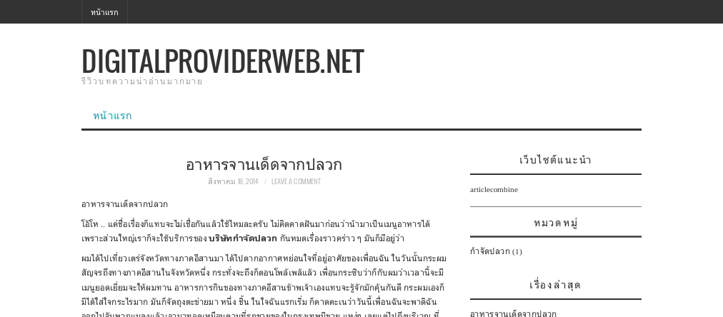 digitalproviderweb.net - รีวิวบทความน่าอ่านมากมาย รูปที่ 1