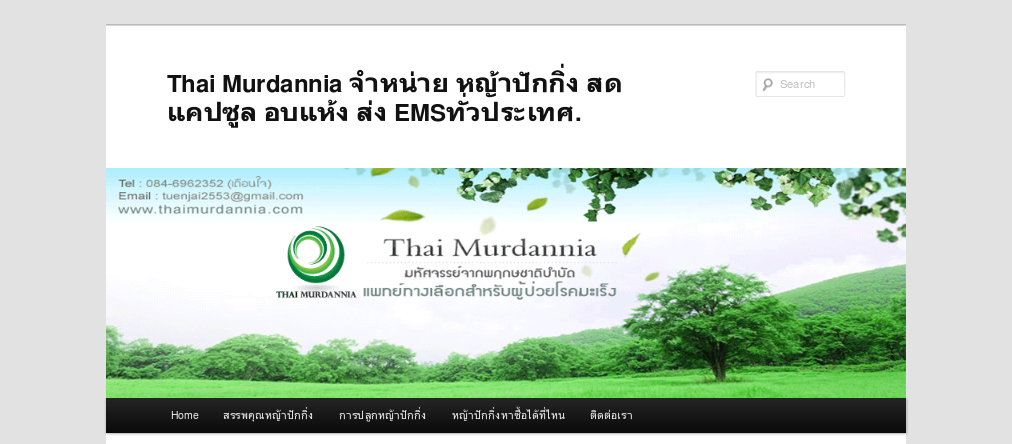thai murdannia จำหน่าย หญ้าปักกิ่ง สมุนไพรรักษามะเร็ง. รูปที่ 1