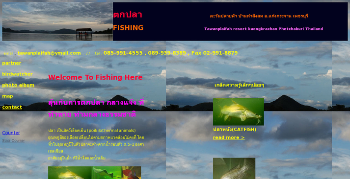 ตะวันปลายฟ้าที่พักนักตกปลา แก่งกระจาน เพชรบุรี ธรรมชาติใกล้กรุงฯ รูปที่ 1